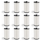 Elite Spas, Coleman Spas, and Maax Spas 35 Sq. Ft. Spa Filter.  Also replaces PMAX50P4, PAS35P, 5CH-35 and FC-0300  |  XLS-526 12PACK by Excel Filters