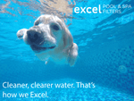 XLS-718 4 Pack Replacement Pool Filter Cartridges for Pentair Clean Clear Plus 420 and Waterway 425. Also replaces Pentair R173576, Pleatco PCC105, Unicel C-7471, Filbur FC-1977.